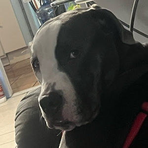 Meet your Posher, Magic